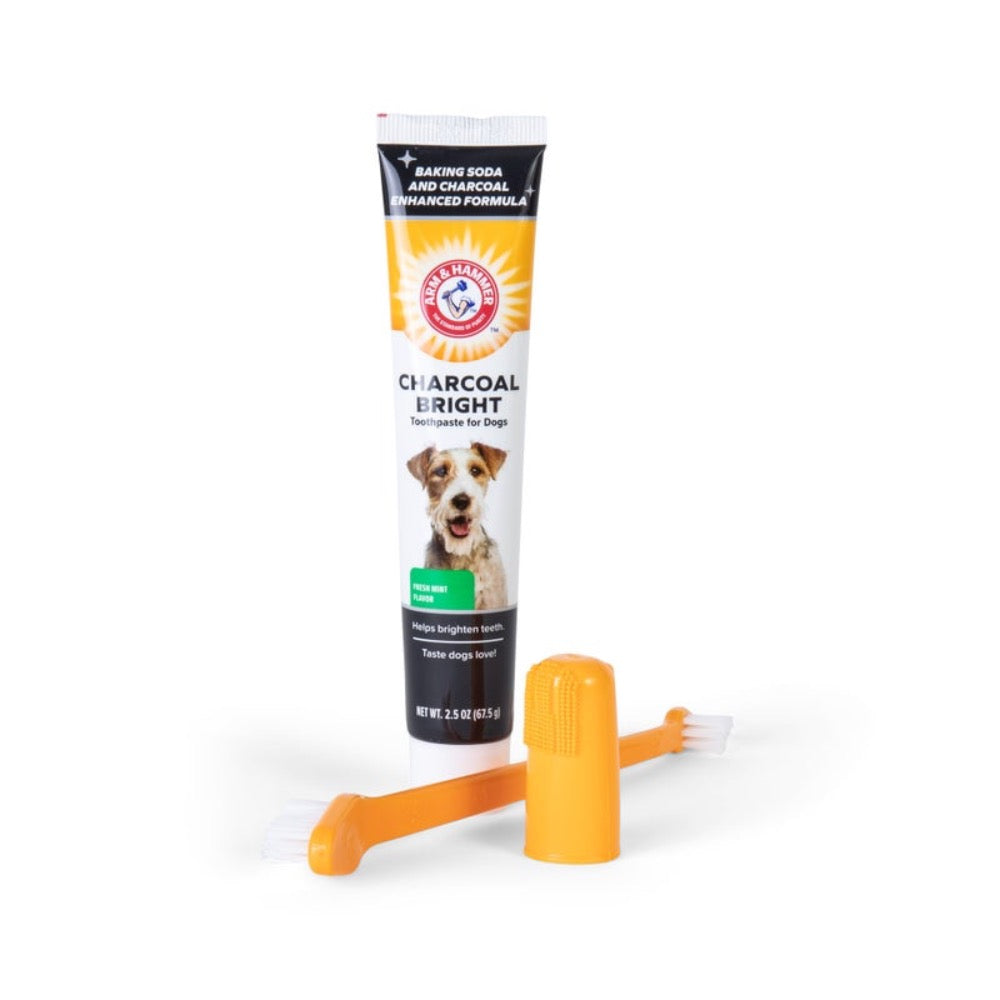 Arm & Hammer Charcoal Bright Dental Kit for Dogs - Mint Flavor