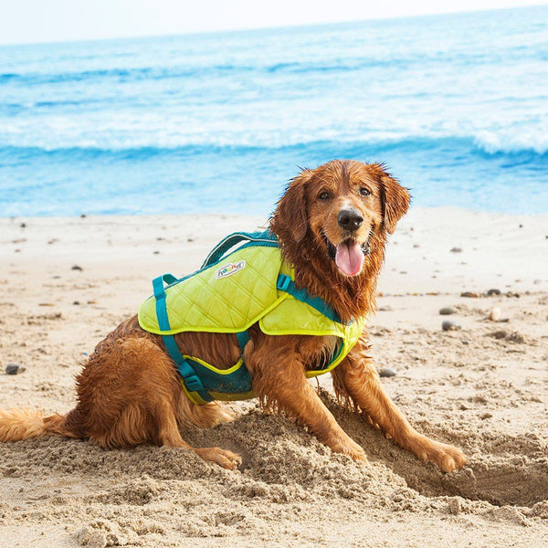 Sport hound hot sale