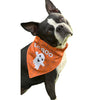 Hip Doggie Two Sided Bandana - Trick or Treat