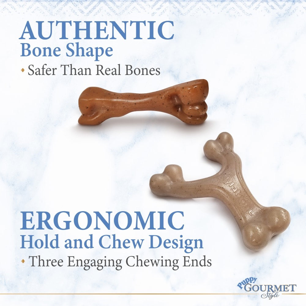 Nylabone Puppy Gourmet Style Strong Chew Toy Bundle Bacon Peanut Butter - Small