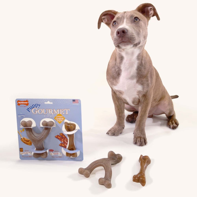 Nylabone Puppy Gourmet Style Strong Chew Toy Bundle Bacon Peanut Butter - Small