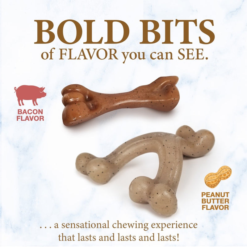 Nylabone Puppy Gourmet Style Strong Chew Toy Bundle Bacon Peanut Butter - Small