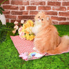 HugSmart Meow Buddies CRAZY CATCHER – UNICORN & RAINBOW