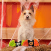 BARK Flutter & Fang Plush Dog Toy