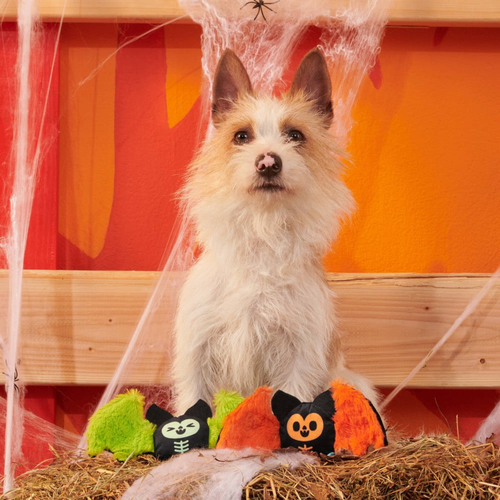 BARK Flutter & Fang Plush Dog Toy