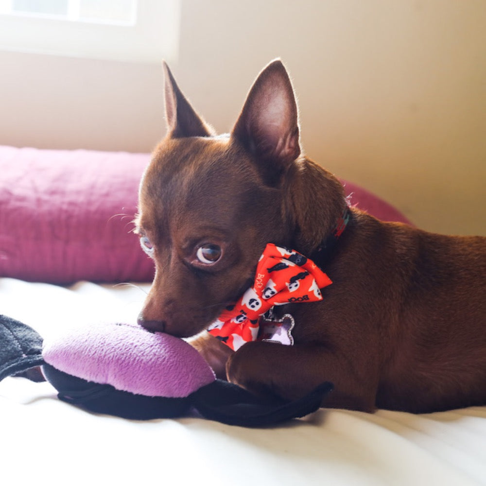 Huxley & Kent Halloween Ghostbusters Bow Tie