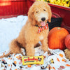 Huxley & Kent Halloween Ghostbusters Bow Tie