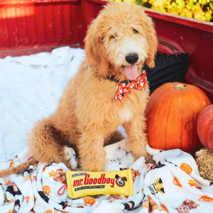 Huxley & Kent Halloween Ghostbusters Bow Tie