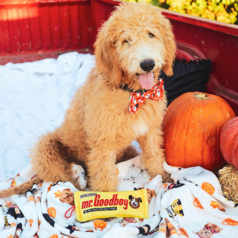 Huxley & Kent Halloween Ghostbusters Bow Tie