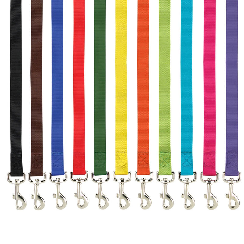 Casual Canine Nylon Leads