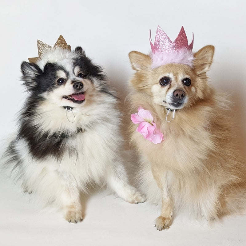 Huxley & Kent Party Crown