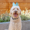 Huxley & Kent Party Crown