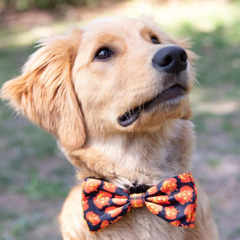 Huxley & Kent Halloween Plaid-O-Lantern Bow Tie