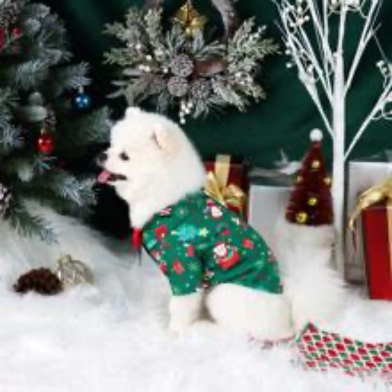 Spice Paws Green Santa/Christmas Tree Shirt With Bow Tie