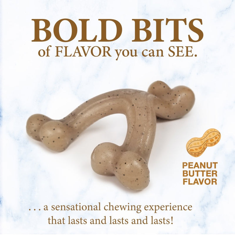 Nylabone Puppy Gourmet Style Strong Chew Toy Wishbone Peanut Butter -Small