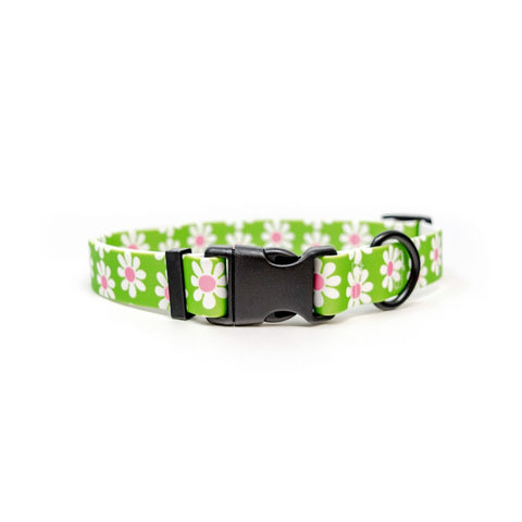 Dog Collar - Yellow  Designer Dog Collar Barker & Bone