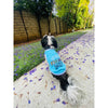 Parisian Pet Is It Friday Yet? Tee