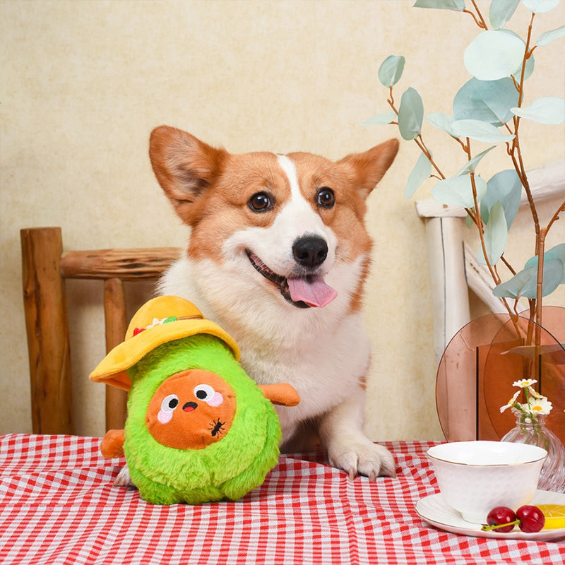 HugSmart Picnic Time – Picnic Avocado