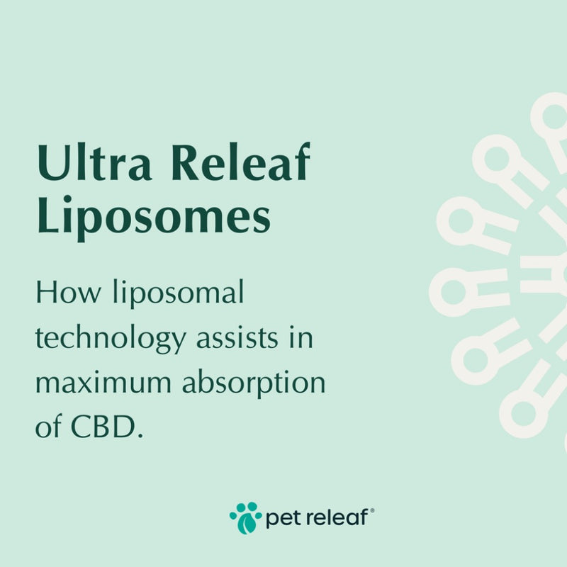 Pet Releaf Ultra Releaf 100mg Liposome CBD Oil for Small Dogs & Cats