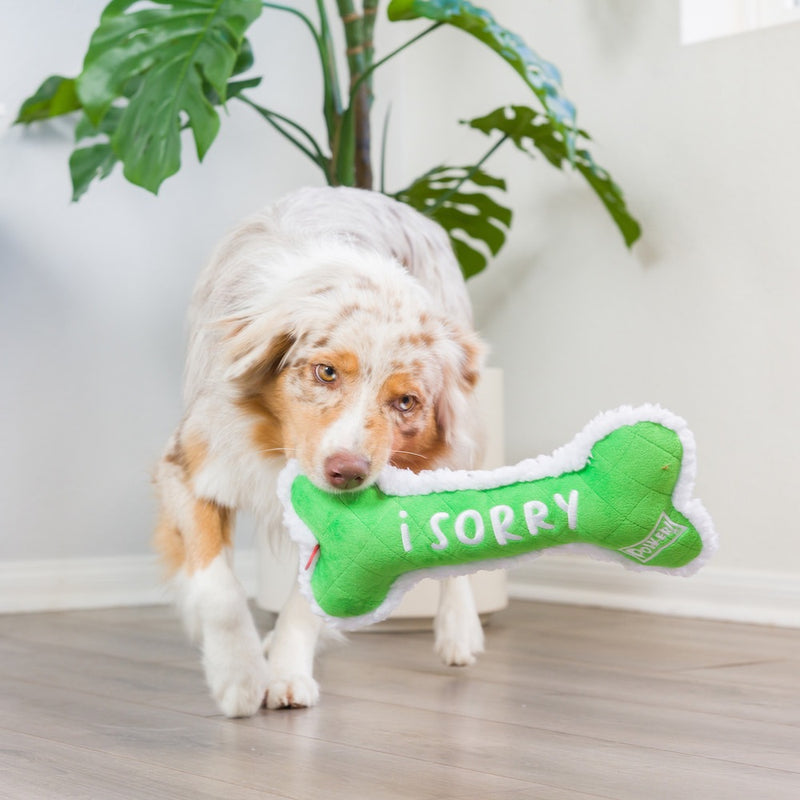 Huxley & Kent Me Did It, I Sorry Bone Double Sided Dog Toy