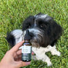 Pet Releaf USDA Organic Stress Releaf 300mg CBD Oil for Small Dogs & Cats