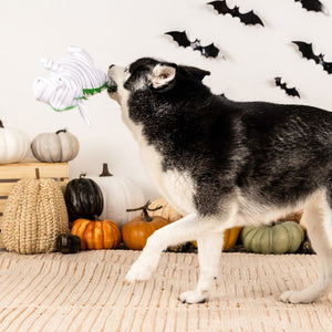 Fringe Studio Pet Shop Keepin' It Under Wraps Plush Dog Toy