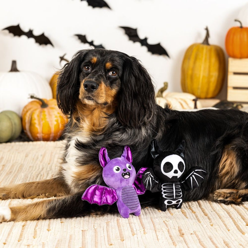 Fringe Studio Pet Shop Bat To The Bone Plush Dog Toys Set Of 2