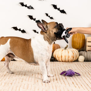 Fringe Studio Pet Shop Bat To The Bone Plush Dog Toys Set Of 2
