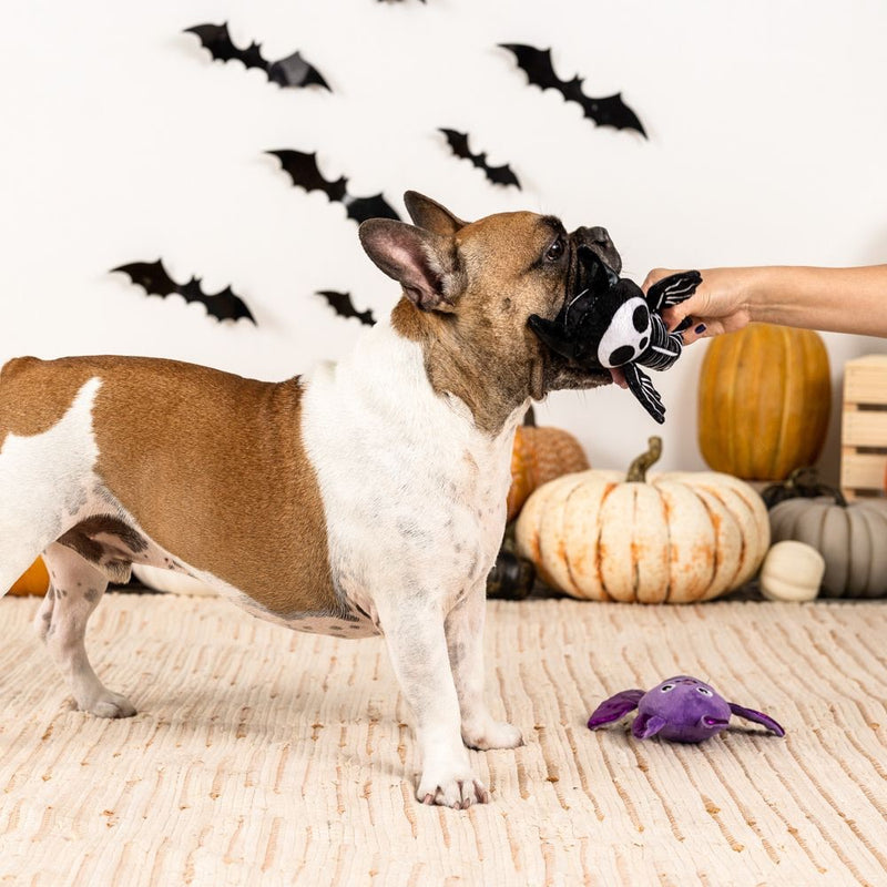 Fringe Studio Pet Shop Bat To The Bone Plush Dog Toys Set Of 2