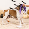 Fringe Studio Pet Shop Frightly Friends Plush Dog Toys Multi-Pack Set Of 3