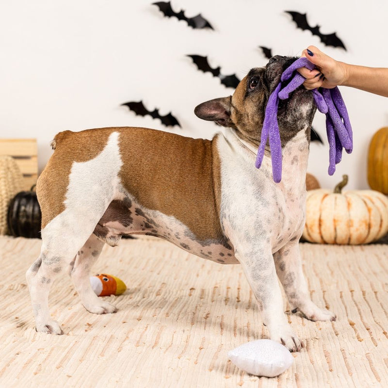 Fringe Studio Pet Shop Frightly Friends Plush Dog Toys Multi-Pack Set Of 3