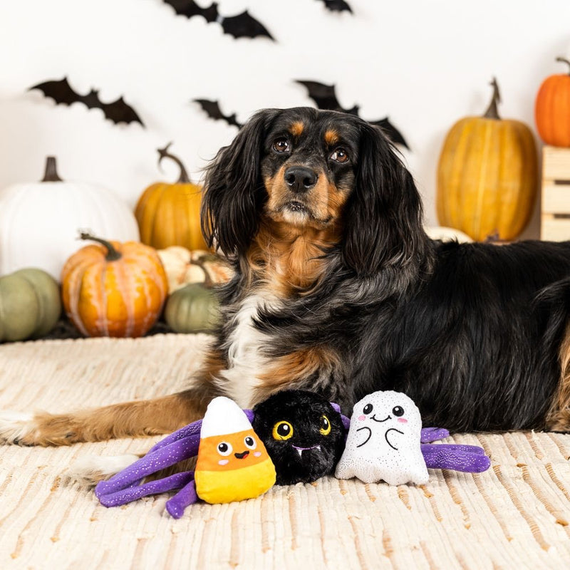 Fringe Studio Pet Shop Frightly Friends Plush Dog Toys Multi-Pack Set Of 3