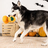 Fringe Studio Pet Shop Stack-O-Lantern Plush Dog Toy