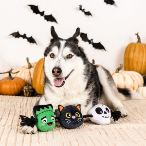 Fringe Studio Pet Shop My Boo Crew Plush Dog Toy