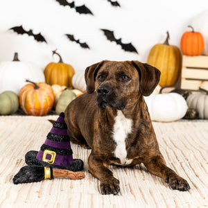 Fringe Studio Pet Shop If The Broom Fits 2 Piece Wear Then Play Toy Set