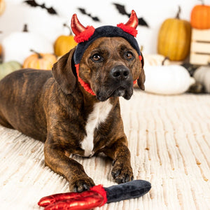 Fringe Studio Pet Shop Cute Lil Devil 2 Piece Wear Then Play Toy Set