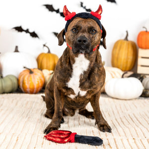 Fringe Studio Pet Shop Cute Lil Devil 2 Piece Wear Then Play Toy Set