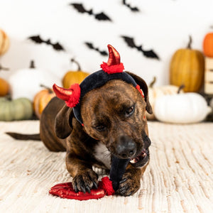 Fringe Studio Pet Shop Cute Lil Devil 2 Piece Wear Then Play Toy Set