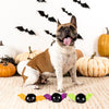 Fringe Studio Pet Shop Let's Fang Out Small Plush Dog Toys Set Of 3