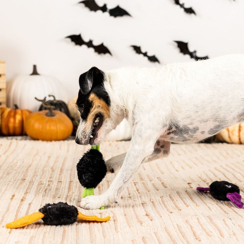 Fringe Studio Pet Shop Let's Fang Out Small Plush Dog Toys Set Of 3