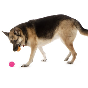 goDog Silent Squeaker Ball Dog Toy - 2pk