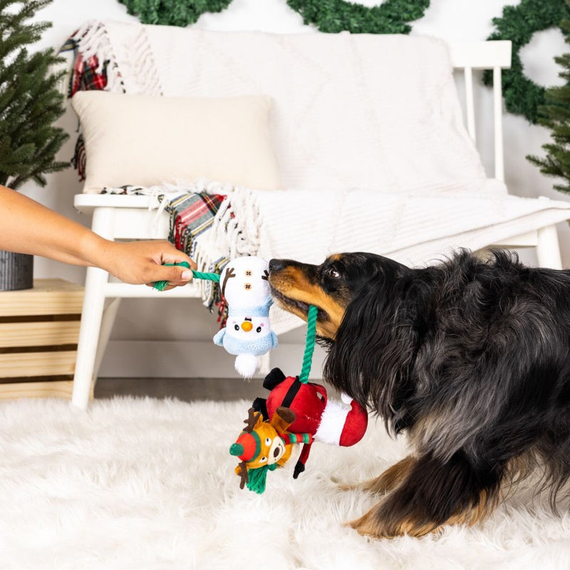 Fringe Studio Pet Shop Christmas Crew Plush Dog Toy