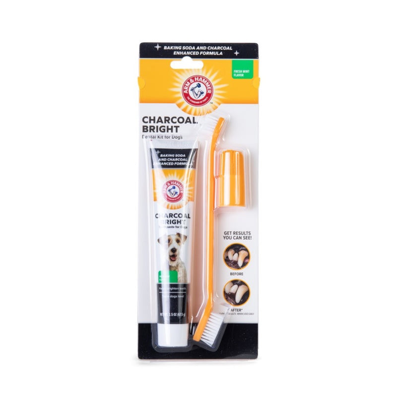 Arm & Hammer Charcoal Bright Dental Kit for Dogs - Mint Flavor