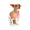 FuzzYard Pink Candy Cane Bandana