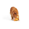 BARK Squirrel O' Lantern Plush Dog Toy Small