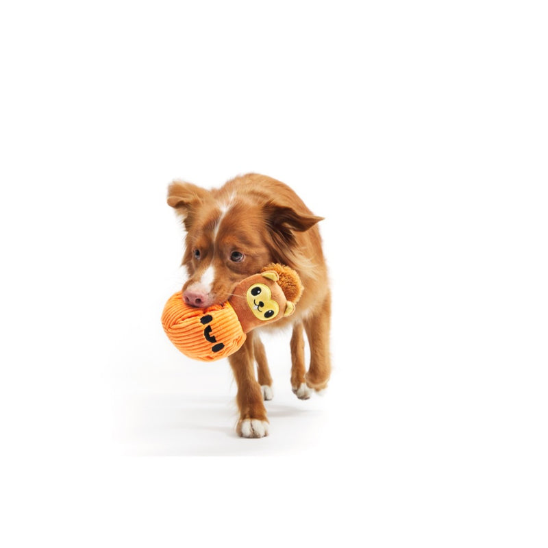 BARK Squirrel O' Lantern Plush Dog Toy Small