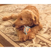 ThoozyPet Figure 8 Knot Ball Rope Dog Toy - 11.5"