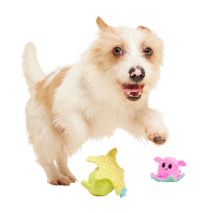 BARK Lil' Squirts Plush Dog Toy