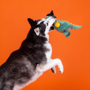 Fringe Studio Petshop Candysaurus Rex Dog Toy