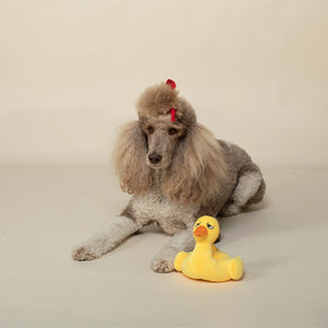 Fringe Studio PETSHOP JUST FLOATING BY DOG TOY